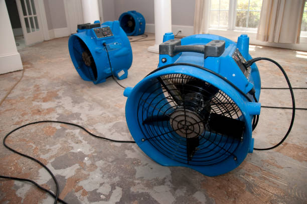 Best Commercial water damage restoration  in Houston, MS
