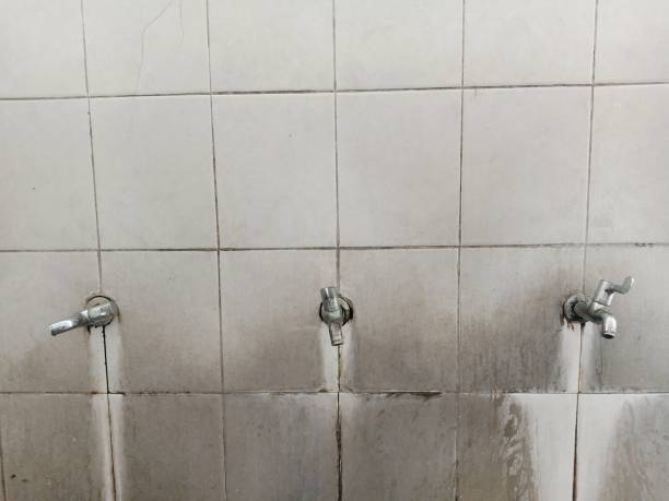 Best 24-hour water damage restoration  in Houston, MS