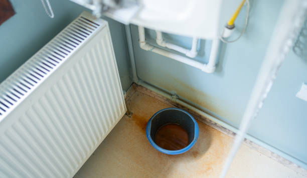 Best Water damage contractors near me  in Houston, MS