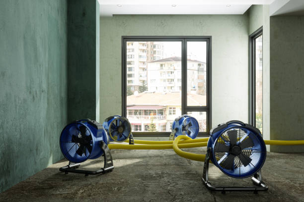 Best 24/7 water damage repair  in Houston, MS