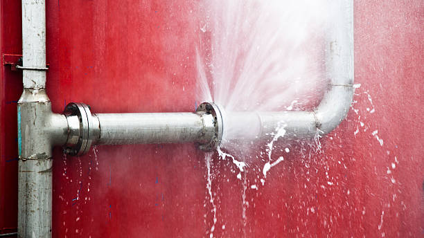 Best Carpet water damage restoration  in Houston, MS